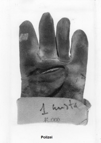 Handschuh.jpg